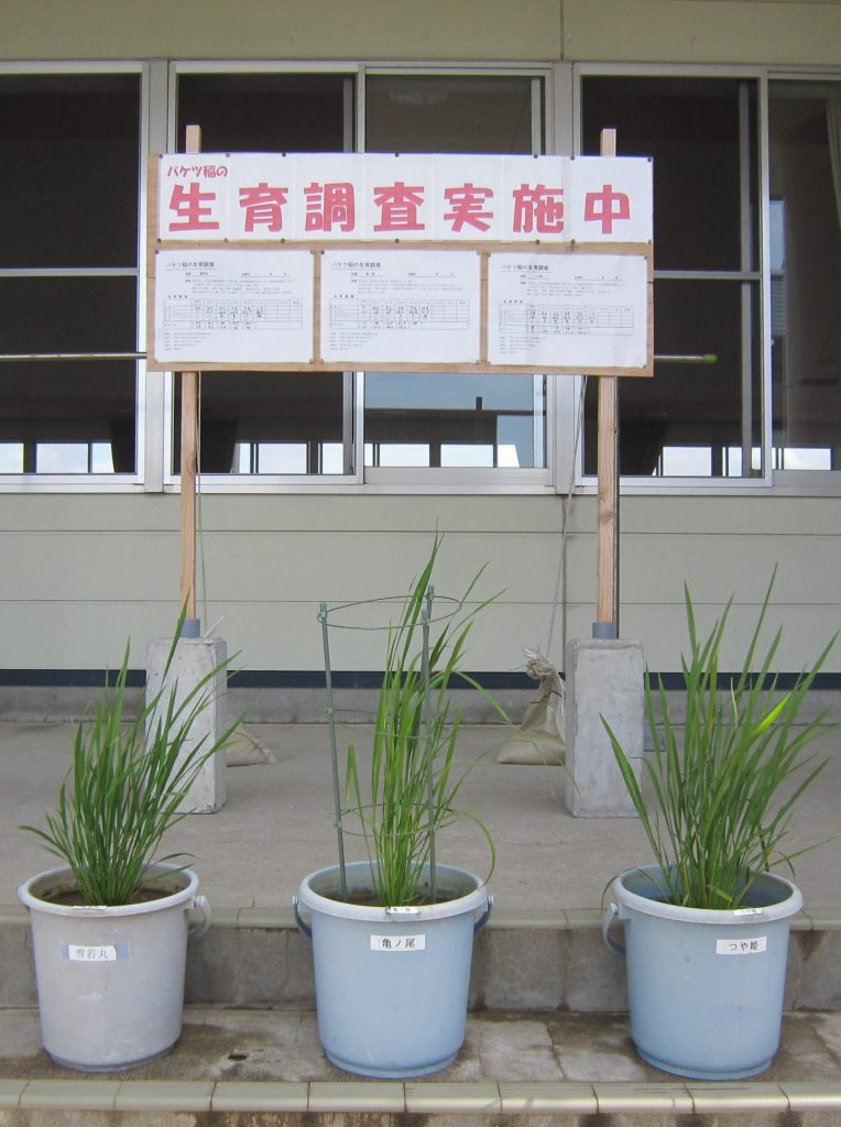 生育状況2022.7.11